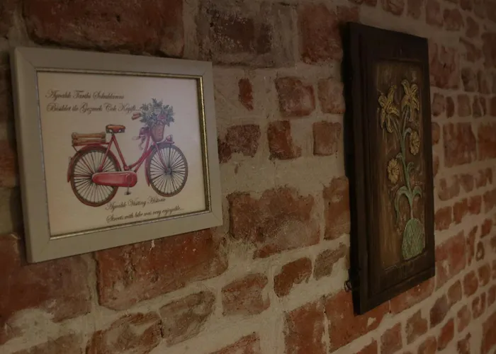 홈스테이 Gizemli