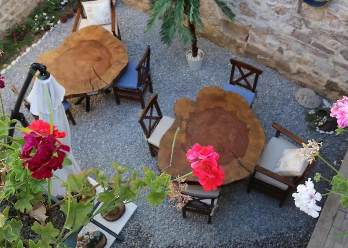 홈스테이 Gizemli